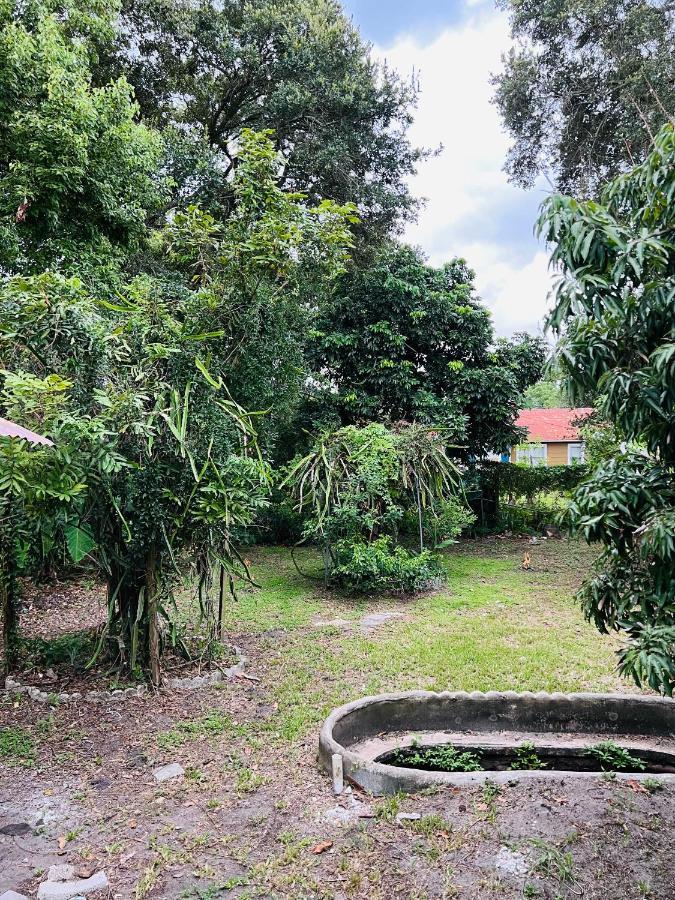 3Bdrm Fruit Tree Home Near Downtown Orlando Ngoại thất bức ảnh