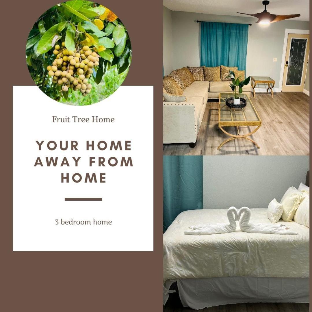 3Bdrm Fruit Tree Home Near Downtown Orlando Ngoại thất bức ảnh
